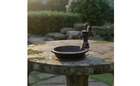 Vintage Hand Pump Bird Feeder Outdoor Garden Decor for Yard, Patio