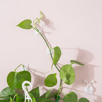 Outdoor Plants and Indoor Plant Support, Leaf-Shaped Adhesive Plant Clips for Climbing Plants, Green Wall Clips for Tomato Plant, 50 Piece Set