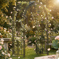 Iron Garden Arch Rust Resistant Outdoor Structure Powder Coated for Park