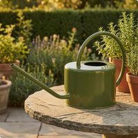 Galvanized Metal Watering Can Compact Galvanized Watering Can Exposed Top