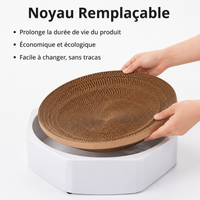 Octagonal Cat Scratcher, Interactive Plastic Cat Toy, Cat Scratcher for Large Cats, Replaceable Corrugated Cardboard