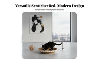Cat Scratcher Bowl 2-in-1 Design Cat Scratcher Bed Corrugated Scrape Pad Low-Mess Paw-Gentle for Kittens
