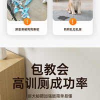 Large Iron Mesh Dog Toilet for Small and Medium Dogs, Anti-Step Design