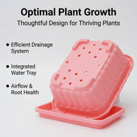6 Pack Rectangular Planter Box, Balcony Planter for Vegetables Flowers, Outdoor Indoor Patio, Frost, Water Saving with Drainage & Tray