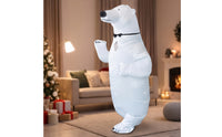 Character Inflatable Costume