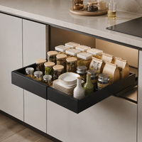 pull-out cabinet organizer