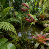 Metal Venus Flytrap Stake Rust-Resistant Carnivorous Plant Stake Handmade