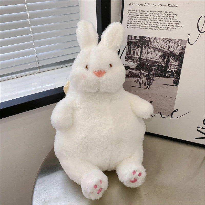 Rabbit
