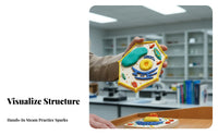 Hands-on Learning DIY Cell Model Kit STEM Toy Creature and Plant Cell Model Promotes Creativity for Students, Teens, Classroom