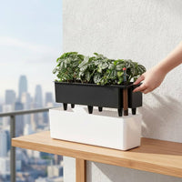 Vegetable Growing Container Narrow Border Design Plastic Window Box for Balcony