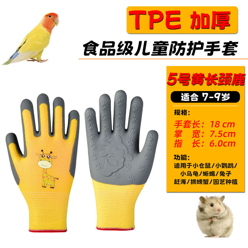 5 Yellow Giraffe