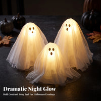 3 Pieces LED Lighted Spirit Ornaments
