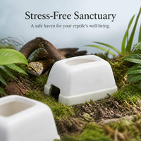 Reptile Ceramic Hideout Cave Humidifying Shelter for Geckos Snakes Lizards Natural Terracotta