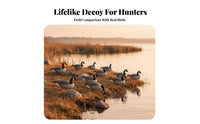 6 Pieces 2D Silhouette Goose Decoy Foldable Canadian Goose Decoy Lightweight