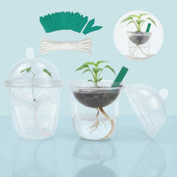 30 Pieces Self-Watering Seedling Cup with Dome Transparent for Teachers