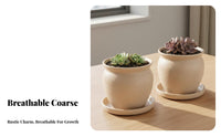 Breathable Desktop Plant Pot with Saucer Minimalist Design Coarse Pottery Flowerpot Drainage Hole Imitation Stone Planter High-Temperature Fired for Gardeners, Office Workers, Kids, Living Room, Windowsill, Bookshelf, Fairy Garden