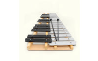 Xylophone with Mallet 25-Note Xylophones with Bag Aluminum Glockenspiel for Beginners, Students, Classroom, Home