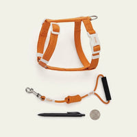 Kitten Harness and Cat Leash Set, Adjustable Polyester H-Style Travel Harness with 150cm Kitten Leash, Buckle Closure for Outdoor Pet Walking
