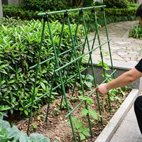 Indoor Plants Garden Trellis for Climbing Plants, Rust Resistant Plant Support for Outdoor Plants, Integrated Molding Frame for Potted Plants