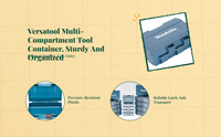 Plastic Storage Organizer, Removable Tray, Multifunctional