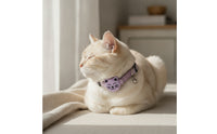 Waterproof Cat Collar with Tracker Bluetooth Cat Tracker No Monthly Fee Pet Tracking Collar Long Battery Life for Cats, Kittens, Outdoor, Travel