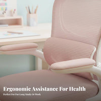 Adjustable Ergonomic Adolescent Chair Stable Base Adjustable Kids Desk Chair