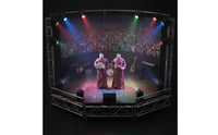 Miniature Figure Pair Painted Display Doll Compact Scale Model for Dioramas, Scene Decoration