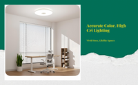 Dimmable LED ceiling light