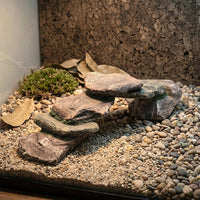 Snake Hide and Turtle Basking Ledge, Multi-Zone Hide Resin for Reptiles and Geckos, Realistic 33cm Ledge for Climbing and Basking