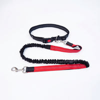 Elastic Leash and Collar Combo Flexible Adjustable Collar Leash Set Metal D-Loop Pet Gear Snap Hook for Walking, Control