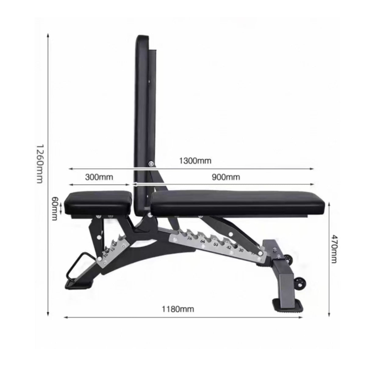 Adjustable Weight Bench Support Base Fitness Equipment Comfortable Padding for Home Gym