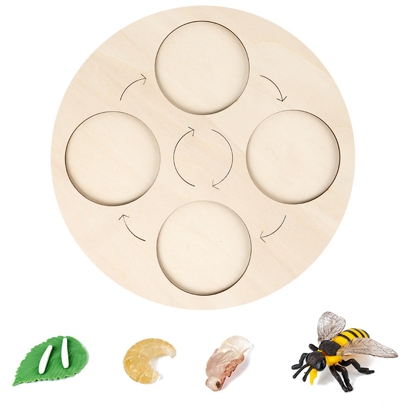 4-grid Bee