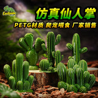 爬虫饲养箱装饰组合摆件沙漠场景微场景仿真植物仙人掌模型无刺耐