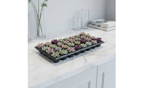 Tray With Drainage Holes cells Plug Tray Reusable Starter for Growers