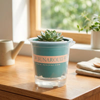 Plant Pots for House Plants with Self Watering System, Indoor Plant Pot with Water Storage, Double Layer Flower Pots, Balcony Lazy Planter Pack