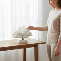 Coral Tabletop Ornament White Desktop Decor Piece Gilded Finish for Cabinet