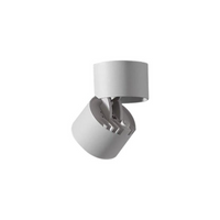 Flush Mount LED Spotlight, Adjustable Projection Accent Light