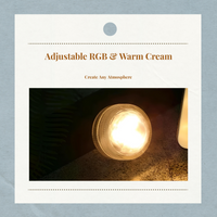 Waterproof RGB LED light, remote