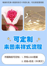 毕业季泰迪熊博士公仔玩偶护士医生公仔玩具医学院博士毕业礼品