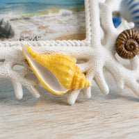 Coral Photo Frame Decorative Seaside Photo Frame White