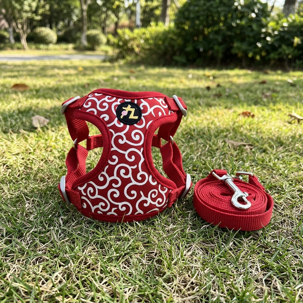Dog Harness and Leash Set with Cat Harness and Cat Leash, Adjustable Vest Design for Dog Walking, Non-Retractable Not IP Authorized Not Imported
