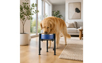Elevated Feeding Stand Black Adjustable Dog Bowl Simple to Clean to Clean Adjustable Pet Bowl Holder for Dogs