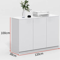 Office Partition Cabinet Storage Credenza Planter Box Room Divider with Adjustable Shelves Tidy Workspace Suitable for Office Reception Area Study Workshop