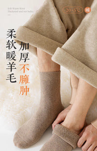 猫人美利奴羊毛袜子男冬季加绒加厚东北零下40度保暖毛圈棉袜冬季