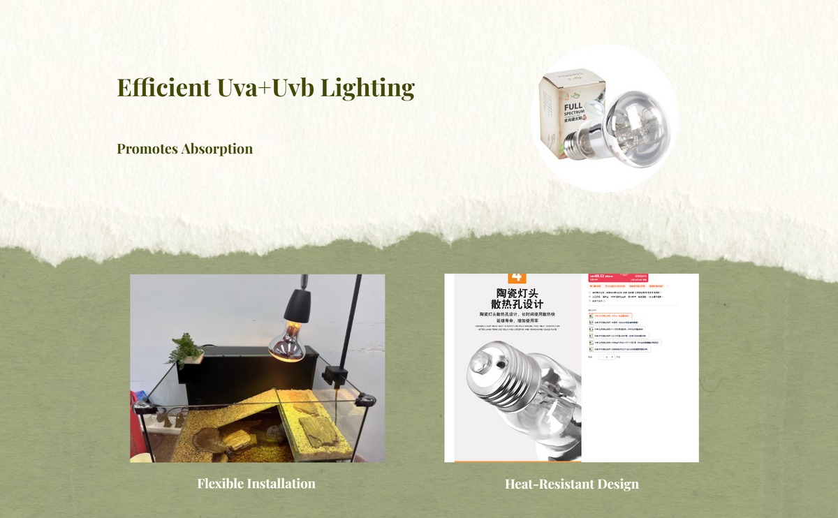 UVA/UVB lamp for reptiles; dome fit