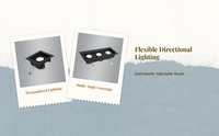 Adjustable double LED downlight