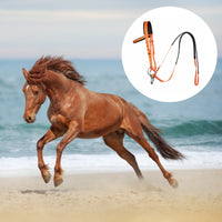 Horse Bridle with Long-Lasting PVC Horse Bridle Secure Snap Closure for Stables