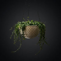 Plant Pots and Hanging Basket for Plants Indoor or Outdoor, Honeycomb Pattern Round Hanging Plant Pot, 25cm Plant Pot for Small Pots for Plants