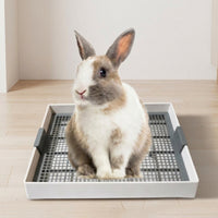 High Sided Litter Tray, Small Pet Litter Tray, Modular Small Pet Litter Box with Splash Guard, Removable Mesh Floor for Easy Cleaning