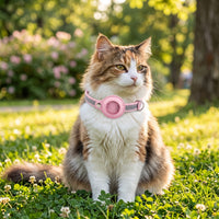 Safe Cat Collar with Pet Tracker Holder Lightweight Pet Tracker Cat Collar Easy to Clean Comfortable for Cats